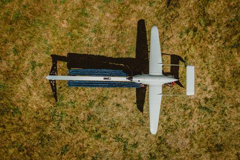 Raybird Fromabove. Source_ Office de presse de Skyeton