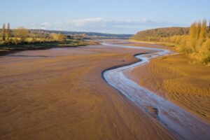 Les chercheurs alertent : la sécheresse pourrait durablement transformer la vallée de la Loire