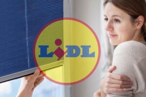 Nouveaux rideaux Lidl : la solution bluffante qui va révolutionner l’isolation de votre maison et faire chuter vos factures !