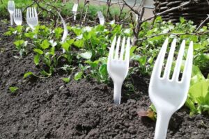 Potager : l’astuce miracle des jardiniers avec de simples fourchettes en plastique