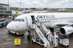 Dératisation des avions et hélicoptères : protocoles, certifications et entreprises agréées